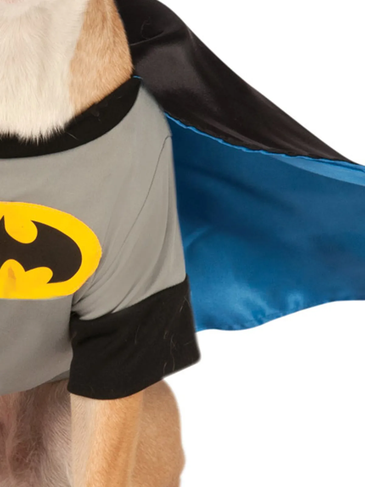 Batman Deluxe Pet Costume - Warner Bros Batman: Brave and Bold