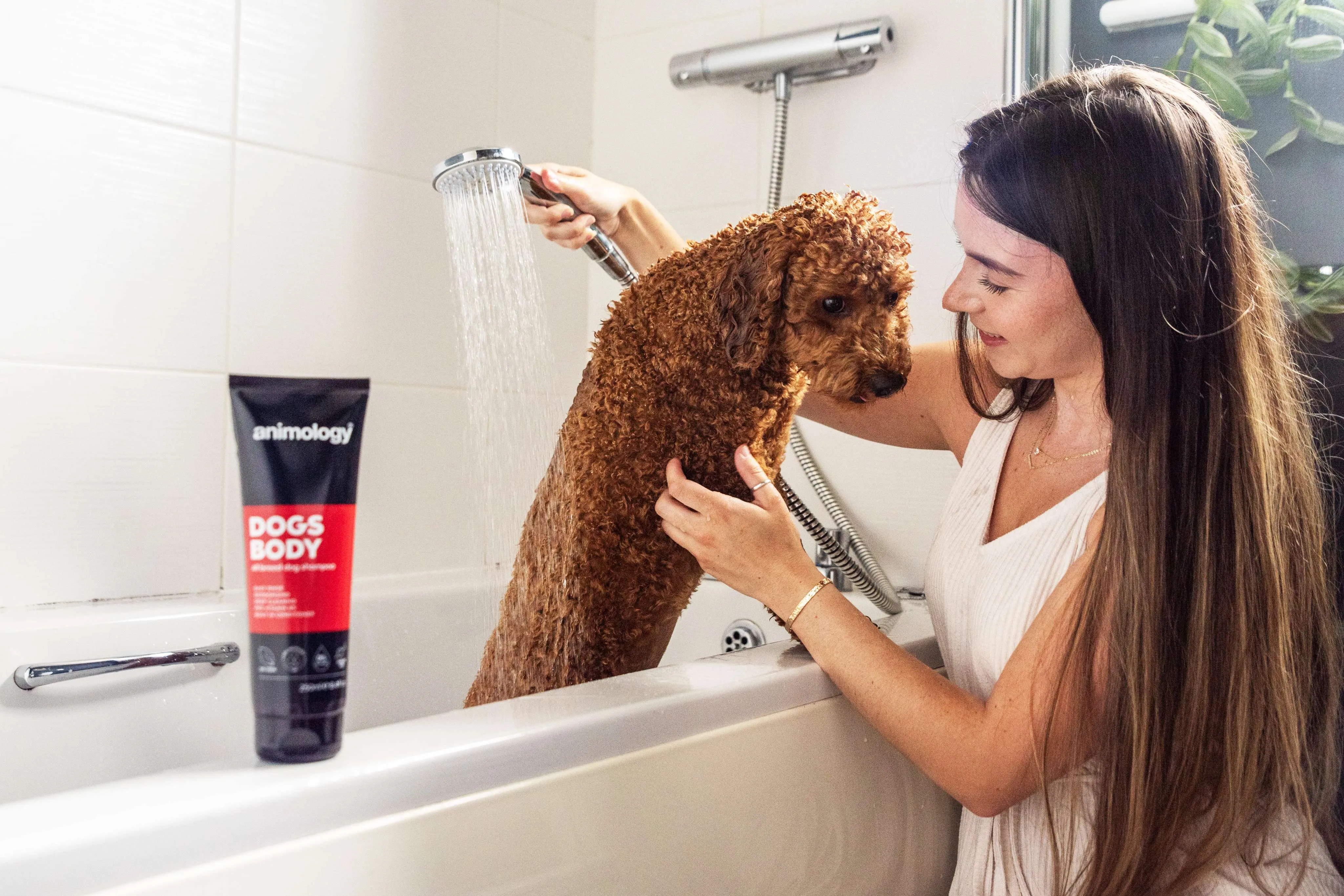 Dogs Body Dog Shampoo 250ml