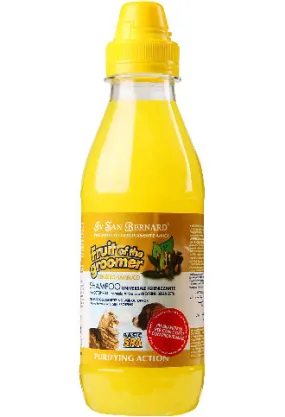 IV San Bernard Fruit Of The Groomer Purifying Zenzero-Sambuco Ginger & Elderberry Shampoo 500ml