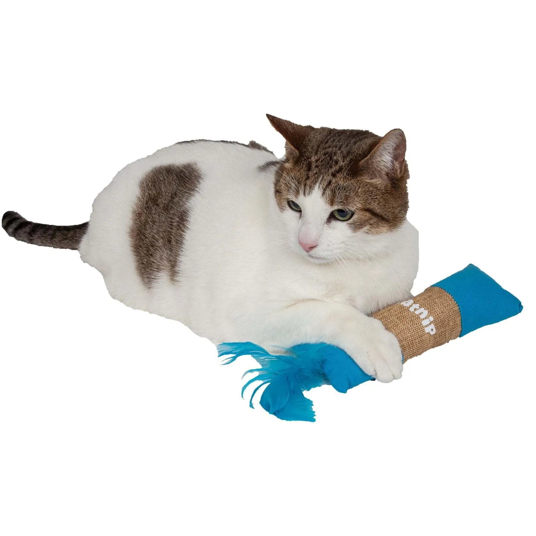 Plush cat toy with crinkle sound and catnip