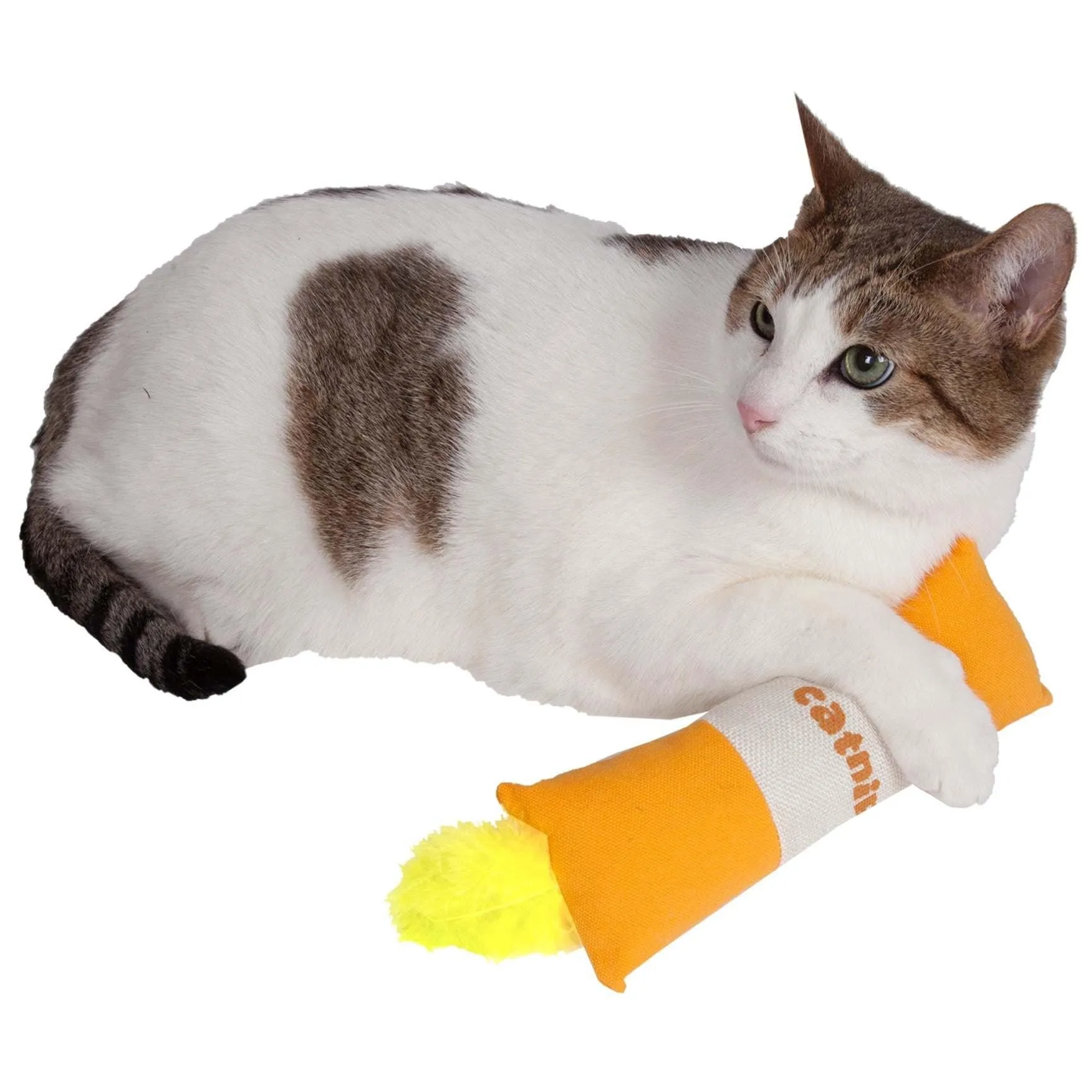 Plush cat toy with crinkle sound and catnip