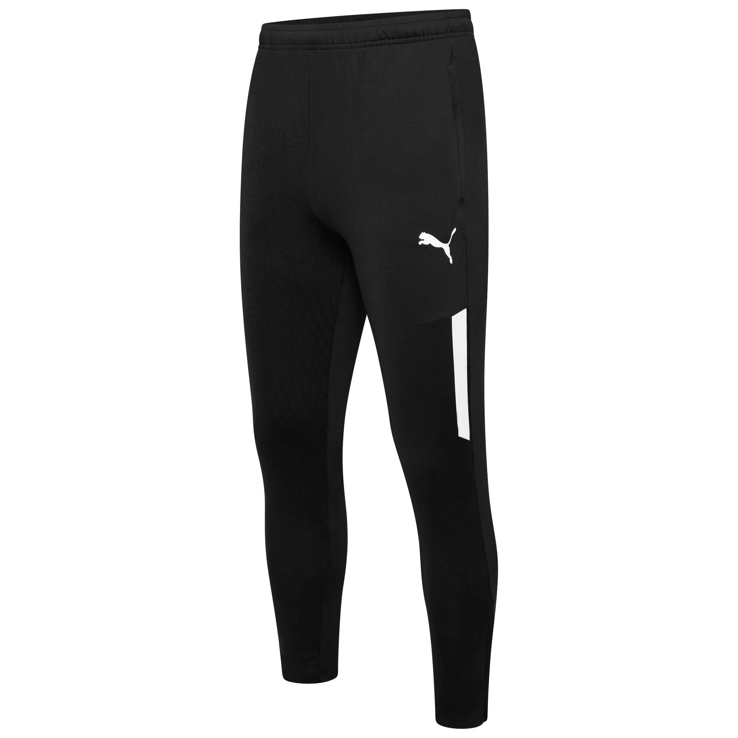 Puma Team Liga 25 Training Pro Pants