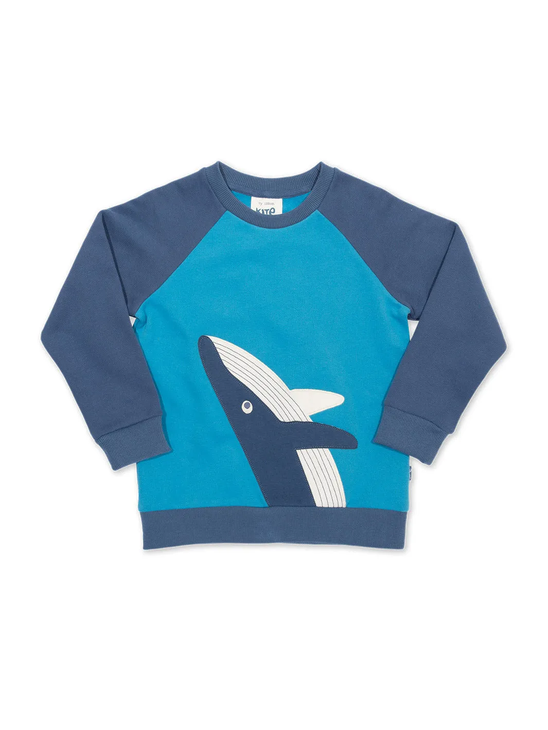 Wonder whale sweatshirt