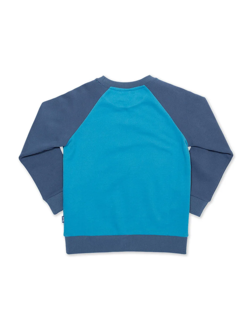 Wonder whale sweatshirt